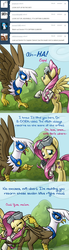 Size: 640x2334 | Tagged: safe, artist:giantmosquito, fluttershy, gilda, griffon, ask-dr-adorable, g4, ask, dr adorable, tumblr