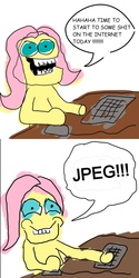 Size: 900x1800 | Tagged: safe, edit, fluttershy, g4, comic, comic sans, computer mouse, fluttershy starting shit, keyboard, stylistic suck, text, why