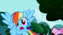Size: 1136x640 | Tagged: safe, edit, edited screencap, screencap, rainbow dash, g4, may the best pet win, season 2, d:, faic, go to bread, inverted mouth, looking at you, ponyface, spread wings