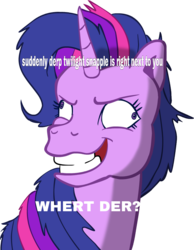 Size: 721x929 | Tagged: safe, twilight sparkle, g3, g4, derp, ermahgerd, female, g4 to g3, generation leap, image macro, meme, solo, twilight snapple, what do