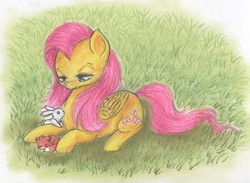 Size: 1552x1135 | Tagged: safe, artist:twiddledittle, fluttershy, fox, pegasus, pony, rabbit, g4, animal, female, grass, lidded eyes, prone, solo, traditional art