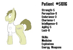 Size: 1106x755 | Tagged: safe, artist:facade, oc, oc only, fallout equestria, solo