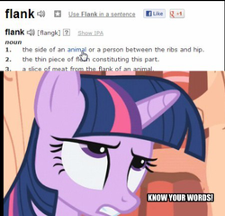 Size: 449x429 | Tagged: safe, twilight sparkle, g4, dictionary, female, flank, image macro, solo, word definitions