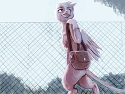 Size: 1280x960 | Tagged: safe, artist:corvusb, gilda, griffon, g4, bipedal, female, fence, looking back, messenger bag, sad, solo, walking