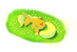 Size: 1582x1062 | Tagged: artist needed, safe, applejack, g4, female, flower, grass, simple background, sleeping, solo, transparent background