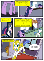 Size: 762x1048 | Tagged: safe, artist:lazingabout94, princess cadance, shining armor, twilight sparkle, g4, comic, royal guard