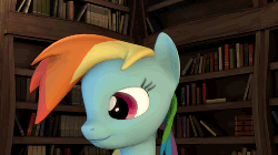 Size: 500x281 | Tagged: safe, artist:drdicksamazingstick, edit, rainbow dash, pegasus, pony, 3d, animated, book, bookshelf, bust, cute, dashabetes, edited gif, female, gif, grin, library, looking at you, loop, mare, one eye closed, perfect loop, portrait, smiling, smiling at you, solo, source filmmaker, wink, winking at you