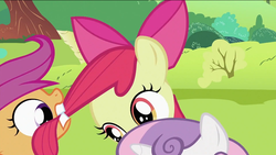 Size: 993x559 | Tagged: safe, screencap, apple bloom, scootaloo, sweetie belle, earth pony, pony, g4, lesson zero, my little pony: friendship is magic, biting