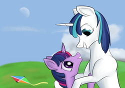 Size: 1280x900 | Tagged: safe, artist:kopaleo, shining armor, twilight sparkle, g4