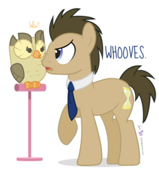 Size: 1040x1120 | Tagged: safe, artist:dm29, doctor whooves, owlowiscious, time turner, earth pony, owl, pony, g4, doctor who, duo, male, necktie, pun, simple background, stallion, transparent background