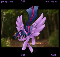 Size: 911x868 | Tagged: safe, artist:merodisae, twilight sparkle, alicorn, pony, g4, blushing, female, mare, photo, solo, twilight sparkle (alicorn)