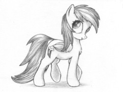 Size: 1389x1033 | Tagged: safe, artist:mcstalins, rainbow dash, g4, female, monochrome, solo, traditional art