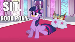 Size: 1280x720 | Tagged: safe, screencap, twilight sparkle, g4, female, pony treat, solo, text