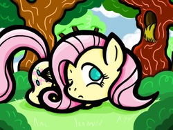 Size: 1024x768 | Tagged: safe, artist:alcoconut, fluttershy, g4, female, solo