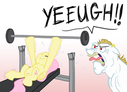 Size: 967x696 | Tagged: safe, artist:howlsinthedistance, bulk biceps, fluttershy, pegasus, pony, g4, benchpressing, duo, duo male and female, exercise, female, male, mare, screaming, weight lifting, yeah
