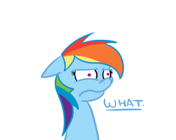 Size: 500x400 | Tagged: safe, artist:scherzo, rainbow dash, g4, female, rainbowfreakindash, reaction image, solo