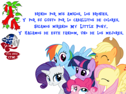 Size: 771x577 | Tagged: safe, applejack, fluttershy, pinkie pie, rainbow dash, rarity, twilight sparkle, g4, bronies chile, chile, fandom, mane six, spanish