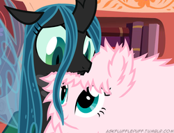 Size: 650x500 | Tagged: safe, artist:mixermike622, queen chrysalis, oc, oc:fluffle puff, tumblr:ask fluffle puff, g4