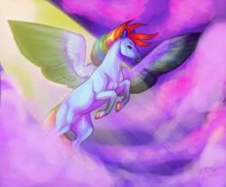 Size: 730x605 | Tagged: safe, artist:catspian, rainbow dash, g4, female, flying, realistic, solo