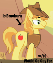 Size: 422x498 | Tagged: source needed, useless source url, safe, braeburn, g4, 10/10, analysis, everypony's gay for braeburn, male, solo