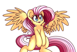 Size: 1024x683 | Tagged: safe, artist:extradan, fluttershy, pony, g4, bipedal, female, solo, spread wings