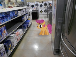 Size: 4320x3240 | Tagged: source needed, safe, scootaloo, g4, high res, irl, photo, ponies in real life, refrigerator, solo, store, washing machine