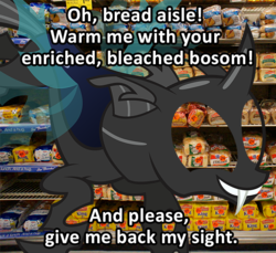 Size: 667x612 | Tagged: safe, changeling, bread, homestar runner, image macro