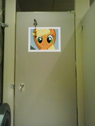 Size: 1536x2048 | Tagged: safe, applejack, g4, bathroom, irl, photo, prank, toilet, why