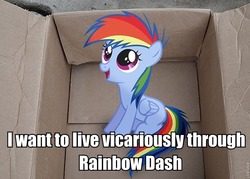 Size: 756x540 | Tagged: safe, rainbow dash, fanfic:my little dashie, g4, female, image macro, solo