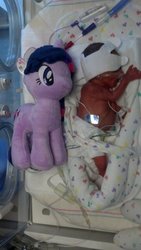 Size: 577x1024 | Tagged: safe, twilight sparkle, human, g4, 4de, irl, irl human, photo, plushie