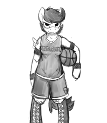 Size: 2600x3000 | Tagged: safe, artist:gordonfreeguy, scootaloo, anthro, unguligrade anthro, g4, ball, basketball, clothes, female, monochrome, solo, sports