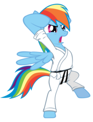 Size: 778x1026 | Tagged: safe, rainbow dash, pegasus, pony, g4, bipedal, black belt, clothes, female, gi, karate, mare, simple background, solo, transparent background, vector