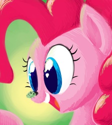 Size: 630x703 | Tagged: safe, artist:extremeasaur5000, pinkie pie, beetle, earth pony, insect, pony, g4, female, insect on nose, solo