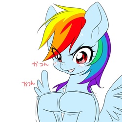 Size: 500x500 | Tagged: safe, artist:naoki, rainbow dash, g4, female, japanese, pixiv, solo