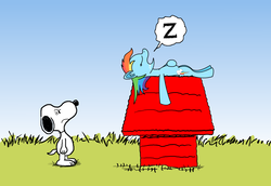 Size: 1600x1100 | Tagged: safe, artist:klystron2010, rainbow dash, beagle, dog, pegasus, pony, g4, charles m schulz, crossover, doghouse, drool, peanuts, sleeping, snoopy, snoring, style emulation, z