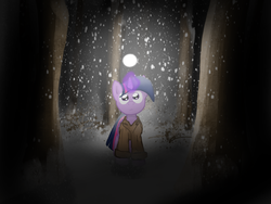 Size: 2048x1536 | Tagged: safe, artist:fuzzyfox11, twilight sparkle, g4, clothes, coat, female, forest, magic, snow, snowfall, solo, winter