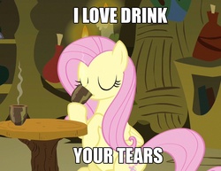 Size: 931x720 | Tagged: safe, fluttershy, g4, crying, drink, engrish, female, grammar error, image macro, meme, solo, your tears are delicious
