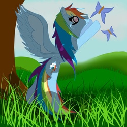 Size: 700x700 | Tagged: safe, artist:catopia26, rainbow dash, butterfly, g4, female, solo