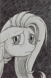 Size: 1089x1658 | Tagged: safe, artist:crazyrabidpony, fluttershy, g4, fanfic, female, monochrome, solo, traditional art