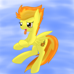 Size: 2600x2600 | Tagged: safe, artist:flashiest lightning, spitfire, pegasus, pony, g4, female, mare, solo, tongue out