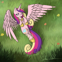 Size: 2100x2100 | Tagged: safe, artist:nerow94, princess cadance, alicorn, pony, g4, female, field, mare, on back, solo