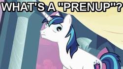 Size: 489x274 | Tagged: safe, shining armor, g4, image macro, male, solo