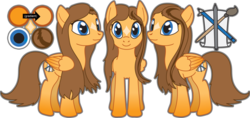 Size: 900x425 | Tagged: safe, artist:theambears, oc, oc only, oc:amberbud, pegasus, pony, cutie mark, female, pegasus oc, reference sheet, simple background, solo, transparent background, wings