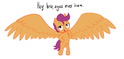 Size: 1071x510 | Tagged: safe, artist:shoutingisfun, scootaloo, pegasus, pony, g4, alicorn wings, bipedal, female, hilarious in hindsight, impossibly large wings, large wings, simple background, solo, white background, wings