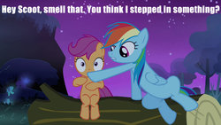 Size: 1280x720 | Tagged: safe, edit, edited screencap, screencap, rainbow dash, scootaloo, g4, my little pony: friendship is magic, sleepless in ponyville, caption, out of context, sitting, text, that better not be poop