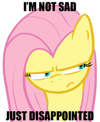 Size: 411x504 | Tagged: safe, fluttershy, g4, disappointed, female, image macro, solo