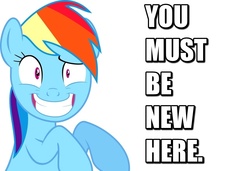 Size: 1280x874 | Tagged: safe, rainbow dash, g4, female, idiotic debate, solo, text, you must be new here