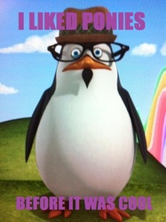 Size: 484x648 | Tagged: dead source, safe, bird, penguin, barely pony related, brony, dreamworks, hipster, madagascar (dreamworks), private (madagascar), text, the penguins of madagascar