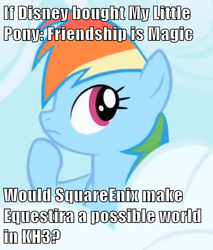 Size: 500x587 | Tagged: safe, rainbow dash, g4, disney, female, image macro, kingdom hearts, solo