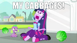 Size: 683x384 | Tagged: safe, spike, twilight sparkle, dog, equestria girls, g4, avatar the last airbender, cabbage, cabbage merchant, exploitable meme, image macro, meme, my cabbages, spike the dog, text, twiscream